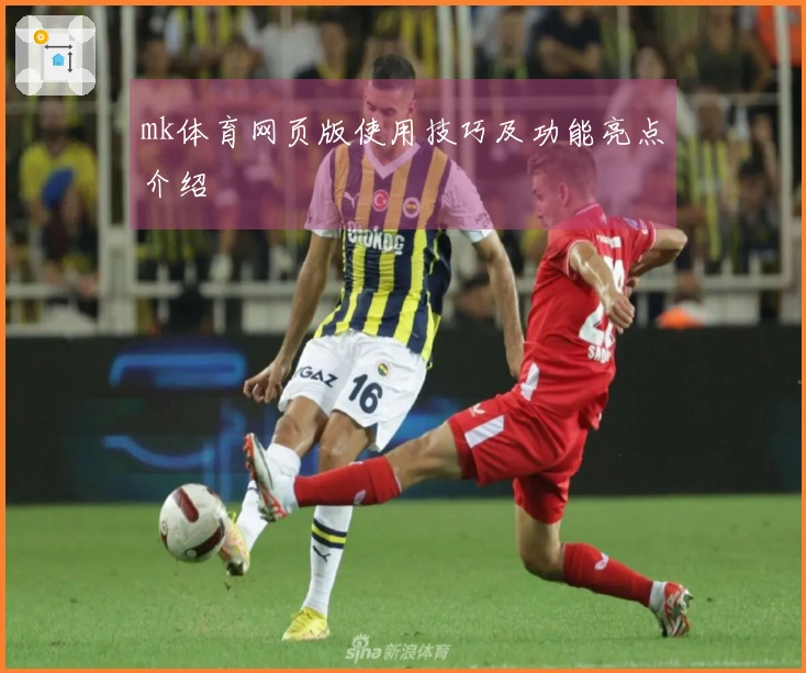 mk体育网页版使用技巧及功能亮点介绍
