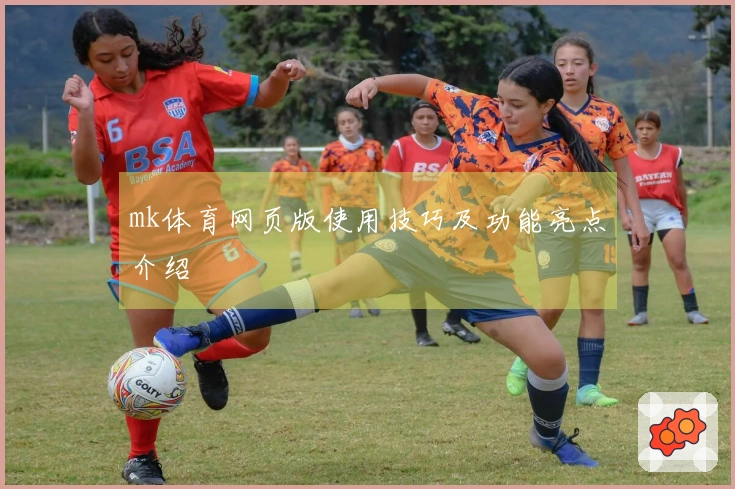 mk体育网页版使用技巧及功能亮点介绍